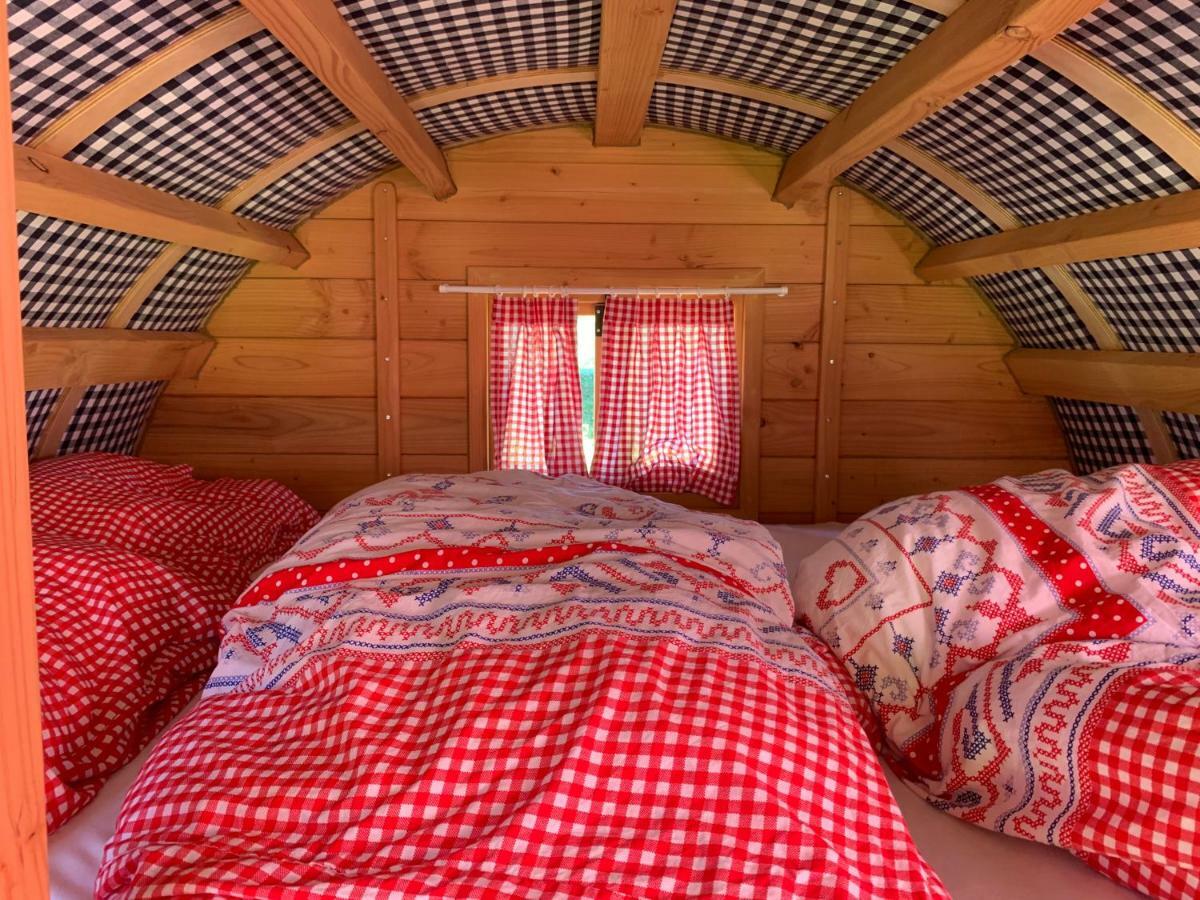 #Glamping@De Verloren Sinjoor Bladel 外观 照片